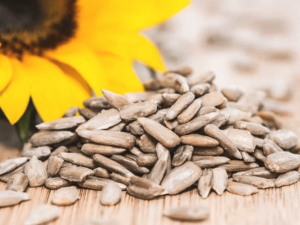 The benefits of sunflowers and the possible side effects